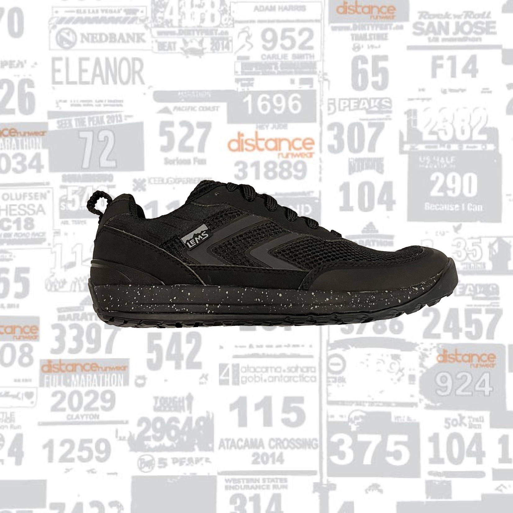 Lems Lems Primal Pursuit (M5.5/W7)