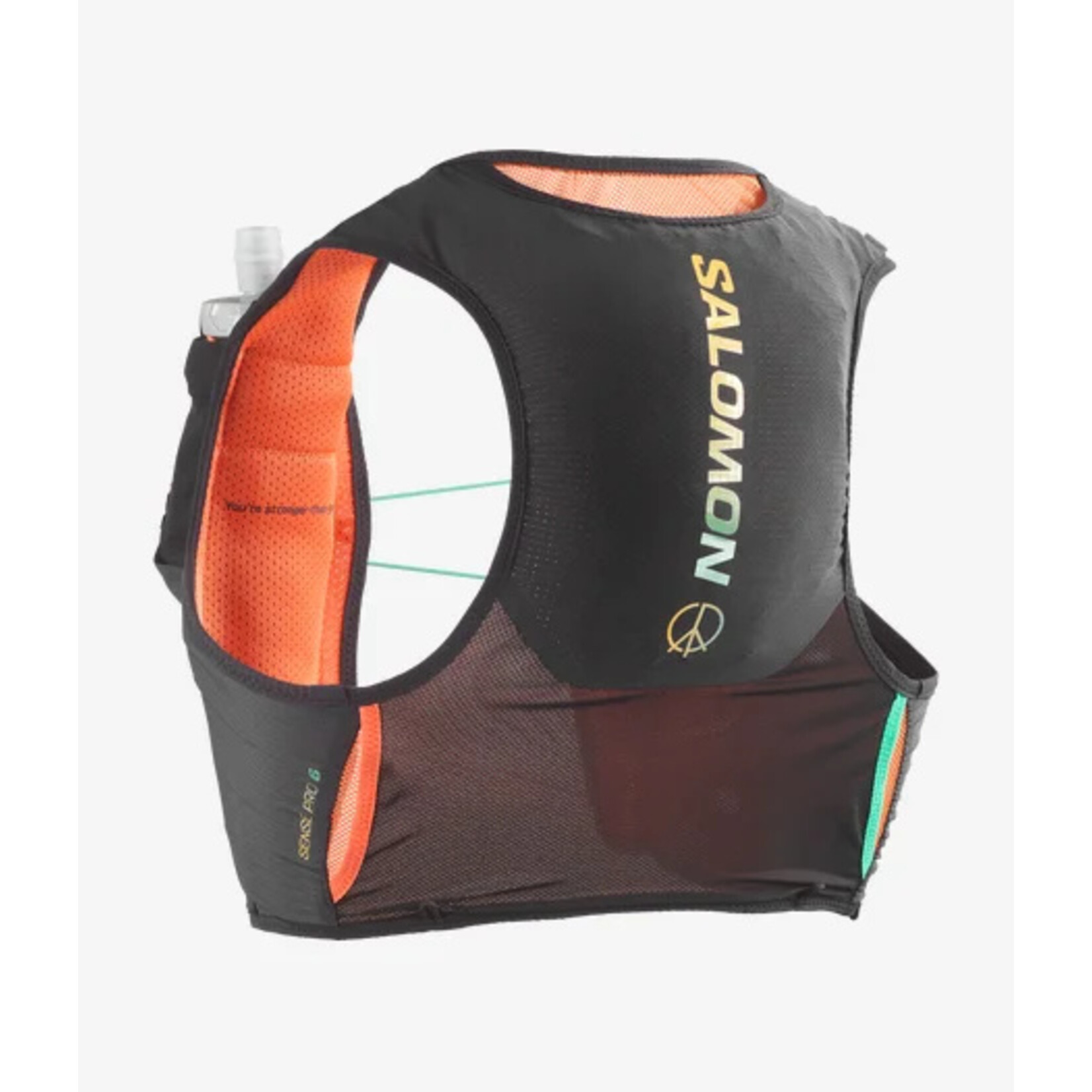 SALOMON リュック　 ボトル2本付き　SENSE PRO 6 Salomon - Sense Pro 6 Set – Le coureur nordique