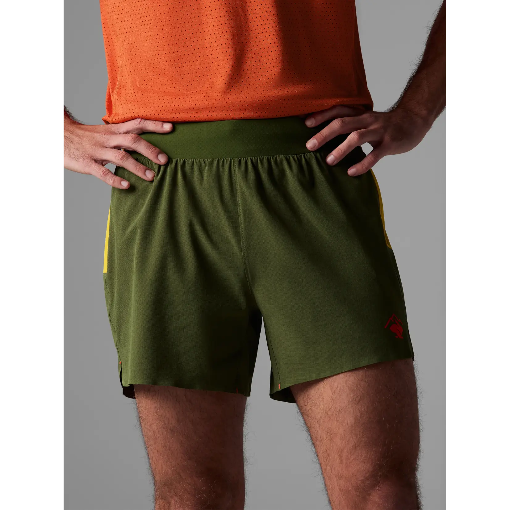 Rabbit Rabbit Shorts  FKT 5”