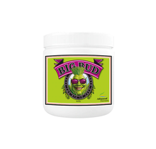 Big Bud Powder 500g