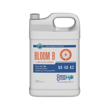 Cultured Solutions Bloom B 10L
