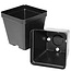 Square Pot 350 Deep 3" 0.5L