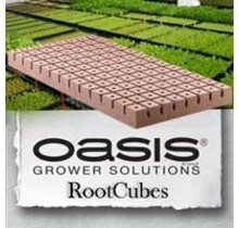 Rootcubes 1.25" Med (5010) 104/sheet