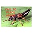 Beneficial Insects-Fungus Gnat Control Rove Beetles 200