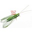 Beneficial Insects-General Predator Green Lacewing 2000 Eggs on String