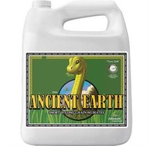 Ancient Earth OIM