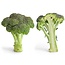 Richters Organic Calabrese Broccoli Seeds