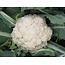 Richters Organic Snowball Cauliflower Seeds