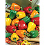 Richters Mini Bell Pepper Seeds