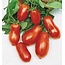 Gaia Organic Seeds Organic Roma Tomato Seeds (25 Seeds)