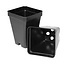 Square Pot 250 Deep 2" 0.2L