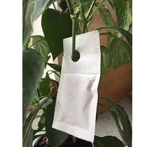 Beneficial Insects-Thrip Control Neoseiulus Cucumeris – Controlled Release Sachet