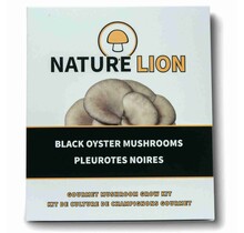 Black Oyster Mushrooms Grow Kit