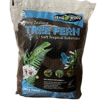 Fernwood New Zealand Tree Fern 10L