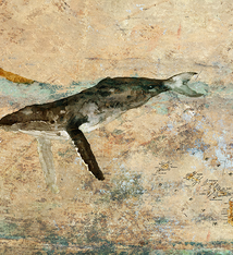 John Baran DIAMOND HEAD HUMPBACK, 9X12 PRINT ON WOOD