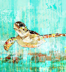 John Baran GREEN SEA TURTLE 1.0, 9X12 PRINT ON WOOD