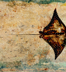 John Baran EAGLE RAY WITH MAP, 9X12 PRINT ON WOOD