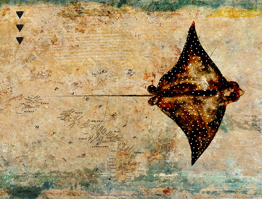 John Baran EAGLE RAY WITH MAP, 9X12 PRINT ON WOOD