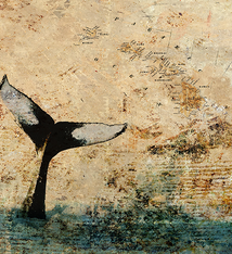 John Baran FLUKE IN THE BAY WITH MAP, 9X12 PRINT ON WOOD