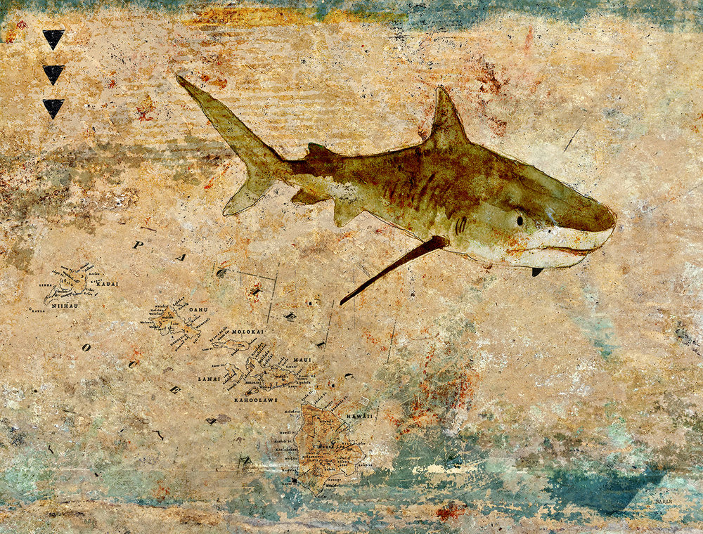 John Baran TIGER SHARK WITH MAP, 9X12 PRINT ON WOOD