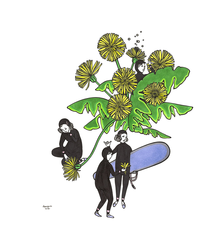 Kris Goto Dandelion, 11”x14” Matted Art Print