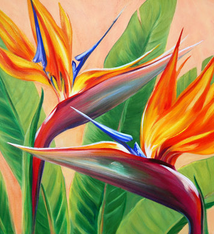 Carol Collette Tropical Flirtation, 11”x14” Gallery Wrap Giclee on Canvas
