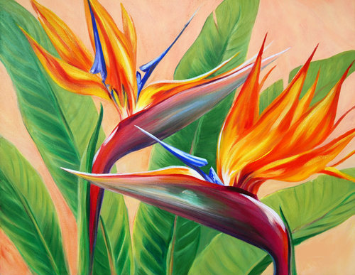 Carol Collette Tropical Flirtation, 11”x14” Gallery Wrap Giclee on Canvas