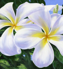 Carol Collette Joyful Morning, 11”x14” Gallery Wrap Giclee on Canvas