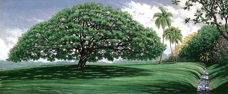 Carol Collette Moanalua Gardens, 7”x16” Gallery Wrap Giclee on Canvas