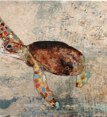 John Baran HAWAIIAN HONU 2.0 WITH MAP, 9X12 PRINT ON WOOD