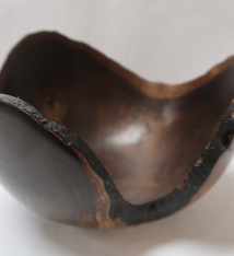 Aaron Hammer 1677 MILO CROTCH W/BARK EDGE