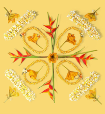 Lola Pilar CUP OF GOLD, 16X16 MATTED PHOTO PRINT