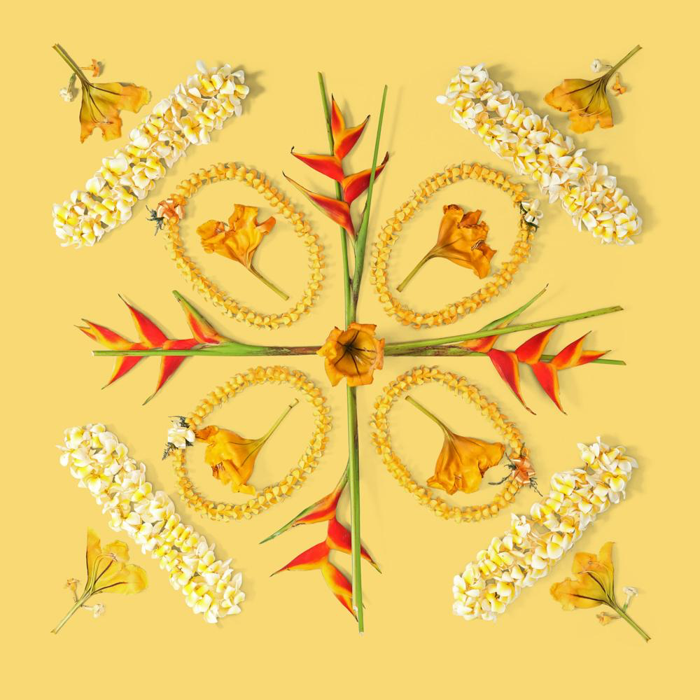 Lola Pilar CUP OF GOLD, 16X16 MATTED PHOTO PRINT