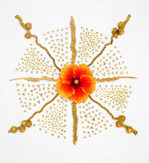 Lola Pilar XX XY, 16X16 MATTED PHOTO PRINT