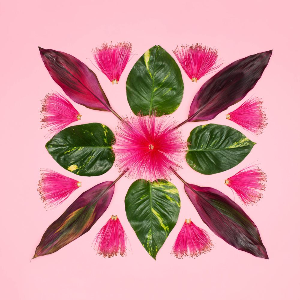 Lola Pilar MR. BOMBAXTIC, 16X16 MATTED PHOTO PRINT