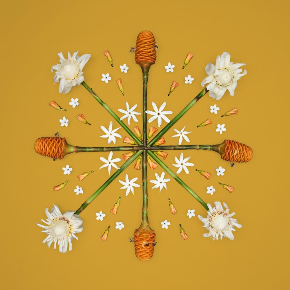 Lola Pilar GOLDEN BEEHIVE, 16X16 MATTED PHOTO PRINT
