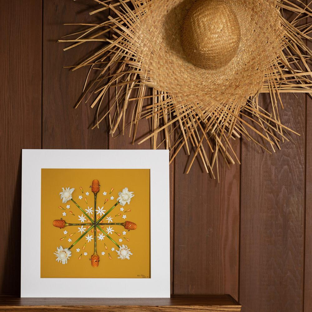 Lola Pilar GOLDEN BEEHIVE, 16X16 MATTED PHOTO PRINT