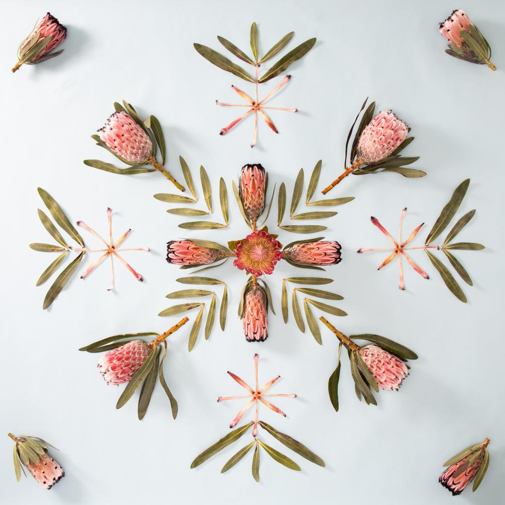 Lola Pilar PINK MINX, 16X16 MATTED PHOTO PRINT