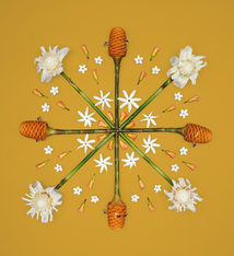 Lola Pilar GOLDEN BEEHIVE, 11X14 MATTED PHOTO PRINT