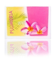 Maui Soap Company Plumeria Hawaiian Soap – Handcrafted Vegan Bar by Maui Soap Co.