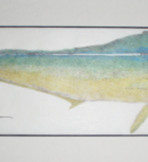 Brandon Tengan MAHI MAHI - GYOTAKU PRINT - 7X17