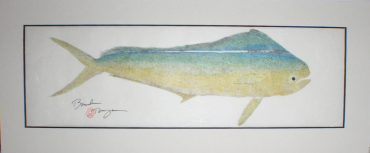 Brandon Tengan MAHI MAHI - GYOTAKU PRINT - 7X17