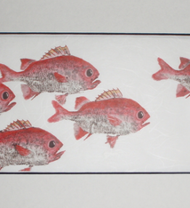 Brandon Tengan MENPACHI HOLE - GYOTAKU PRINT - 7X17