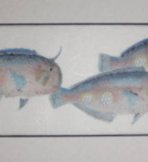 Brandon Tengan NABETA TRIO - GYOTAKU PRINT - 7X17