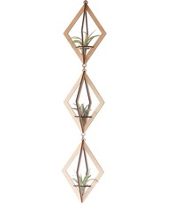 Savvie Studio AIR PLANT HANGER-TRIO MAPLE
