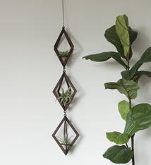 Savvie Studio AIR PLANT HANGER-TRIO WALNUT