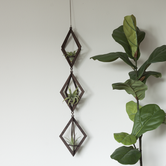 Savvie Studio AIR PLANT HANGER-TRIO WALNUT