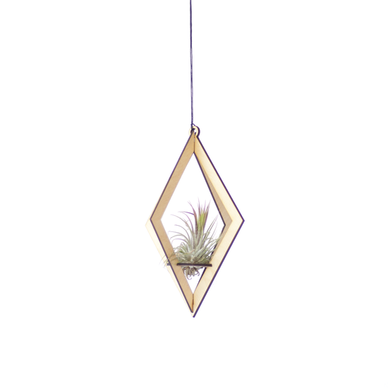 Savvie Studio AIR PLANT HANGER-DIAMOND MAPLE