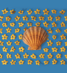 Lola Pilar SUNGLOW, 8X10 MATTED PHOTO PRINT