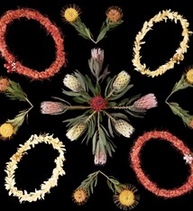 Lola Pilar ALI'I, 8X10 MATTED PHOTO PRINT